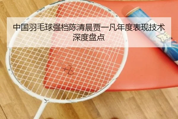 中国羽毛球强档陈清晨贾一凡年度表现技术深度盘点